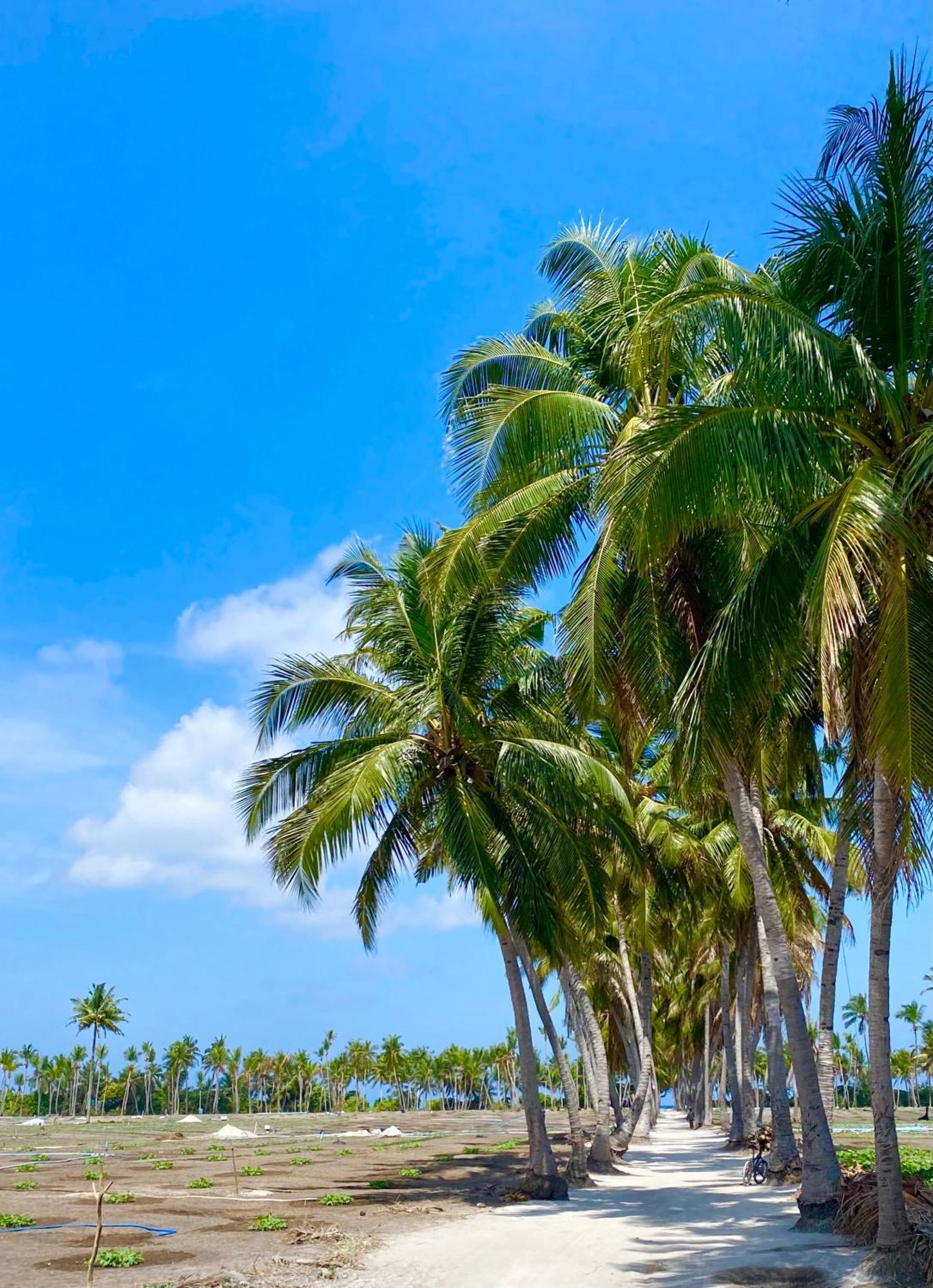 Sorenzo Maldives Тодду Екстер'єр фото